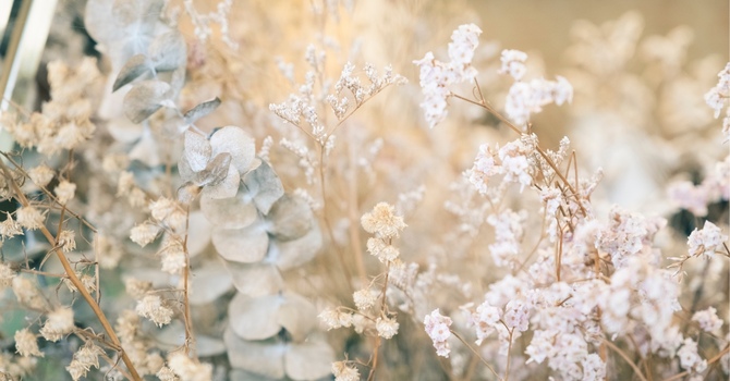 Advanced Facial Treatments